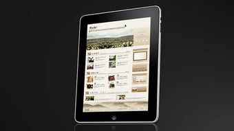 慶元堂徽菊茶葉網(wǎng)站設(shè)計(jì)與品牌策劃 尚略廣告的專業(yè)賦能